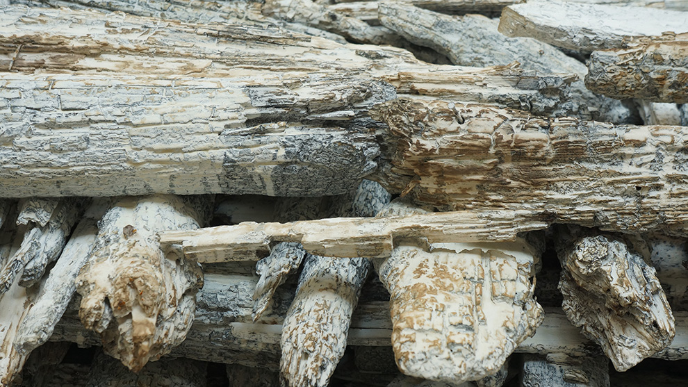 《粮仓》三600x600x400cm--木材、矿物·植物·土质颜料--2018年.jpg